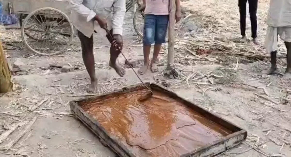 Tips and Tricks : कभी नहीं खाओगे असली-नकली गुड़ में गच्चा, खरीदने से पहले कर लें ये काम, एक्सपर्ट ने बताई ट्रिक